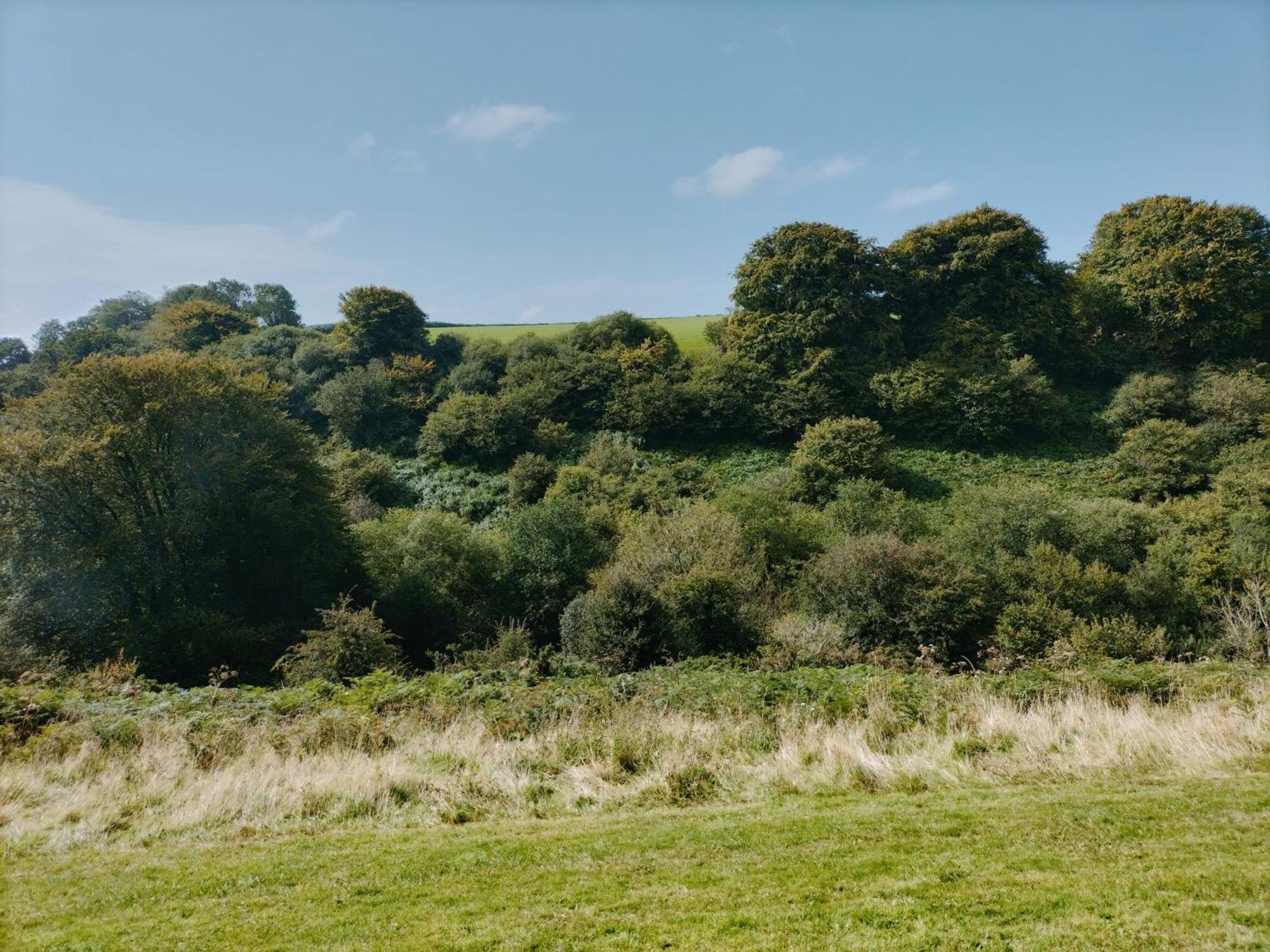 22 Stowford Gardens Combe Martin Daire Dış mekan fotoğraf